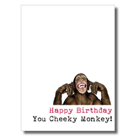 Happy Birthday Cheeky Monkey Card
